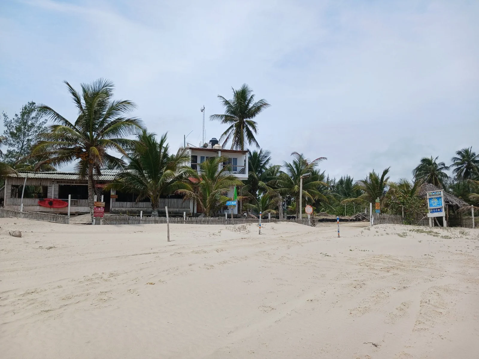 Playa y palmeras en la costa veracruzana