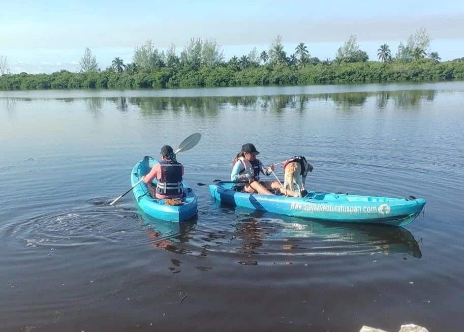 Recorrido en kayak por aguas tranquilas
